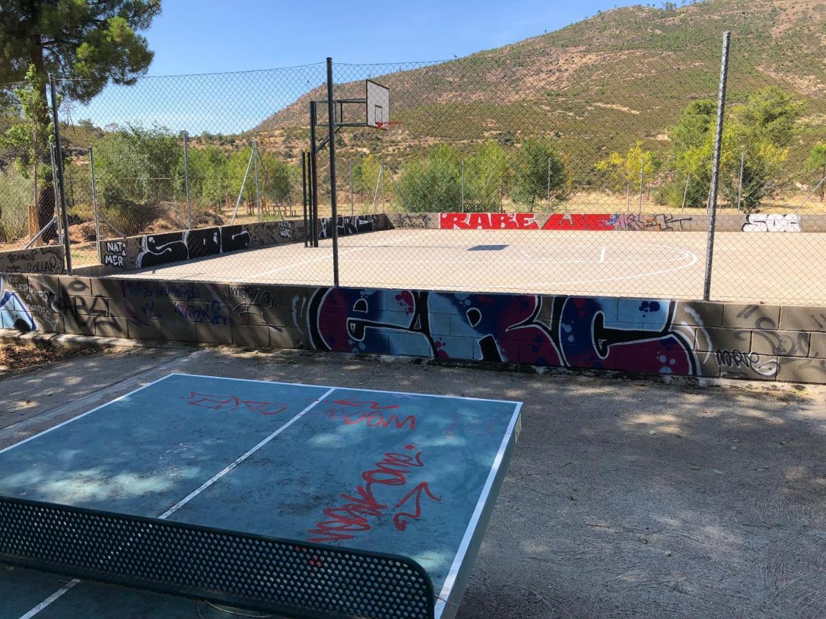 Olivos De Robledo De Chavela