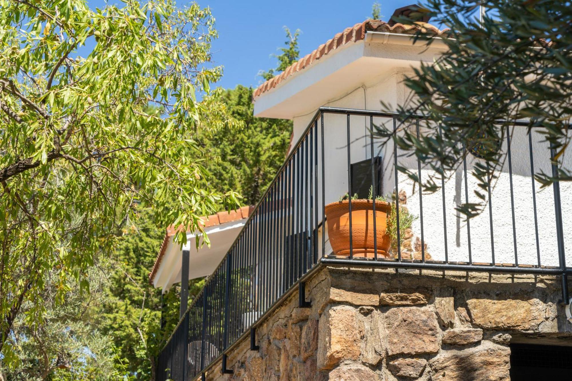 Olivos De Robledo De Chavela